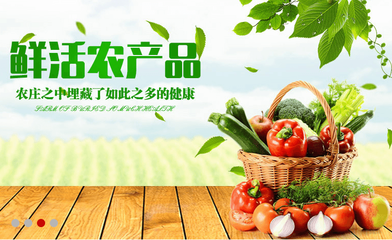 村宝商城 互联网+农村，开启农村电商新时代