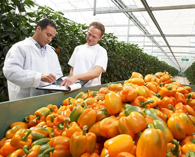 美日等国农产品冷链物流一体化模式的经验与启示