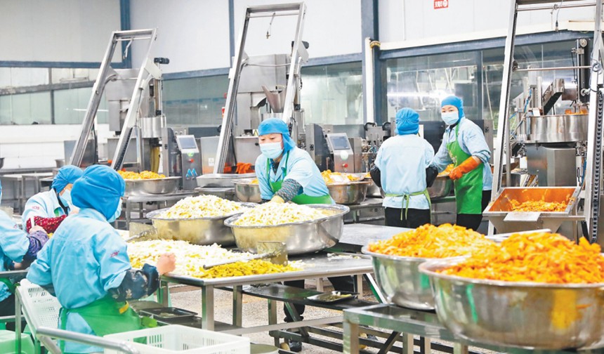 上口佳预制菜背后的重庆现代农业